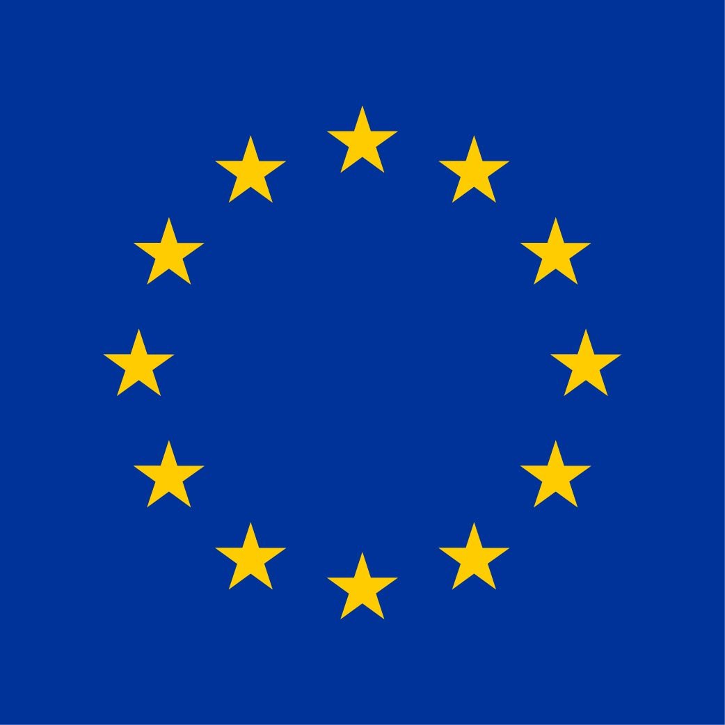 European Union Flag